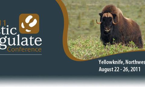 Arctic Ungulate Conference NWT